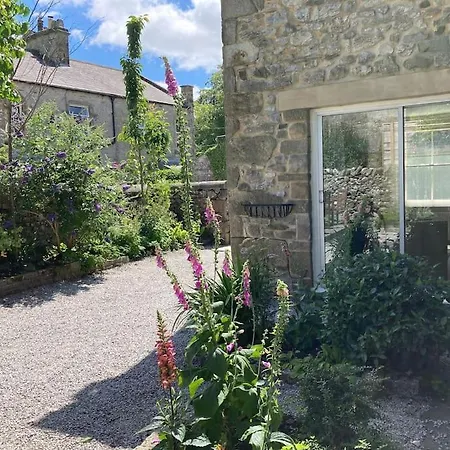 Bluebell In The Yorkshire Dales
